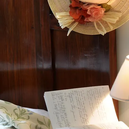 托罗酒店 拉维罗